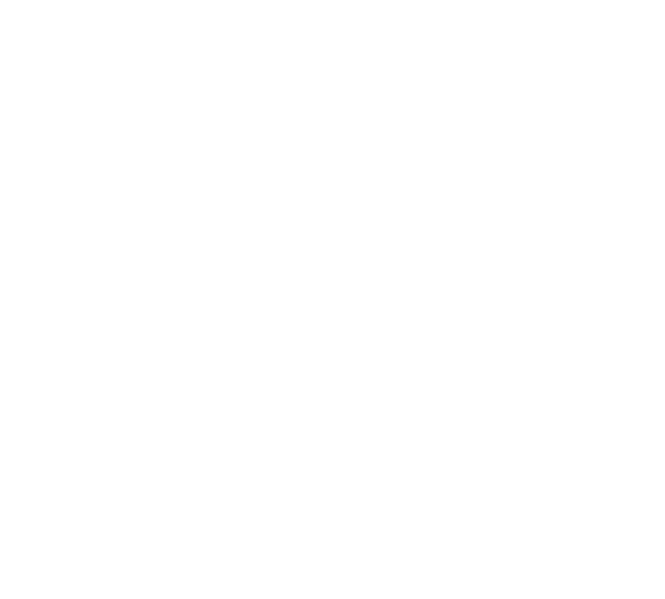 Access Edge icon