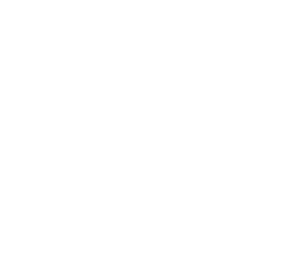 DZS Services icon